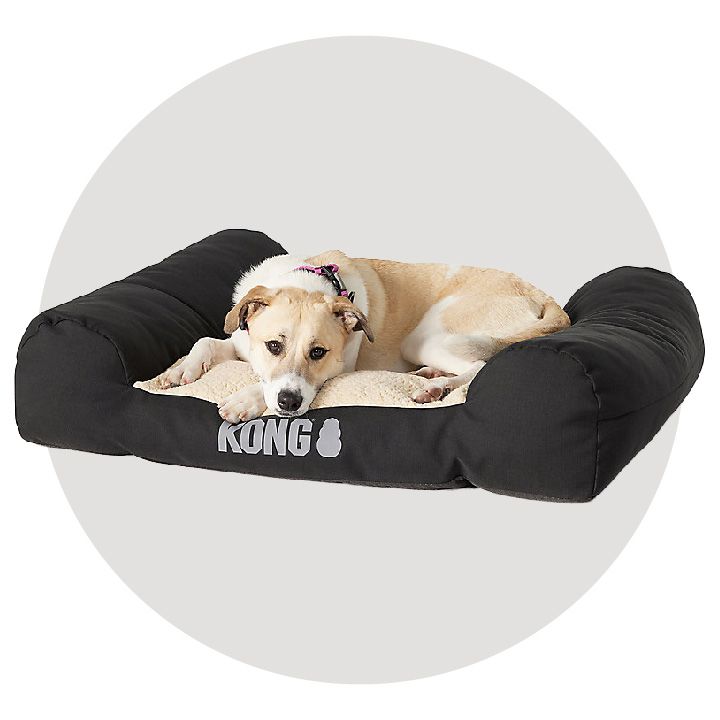 Featured Brands Kong PetSmart Canada