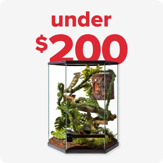 terrariums under $200