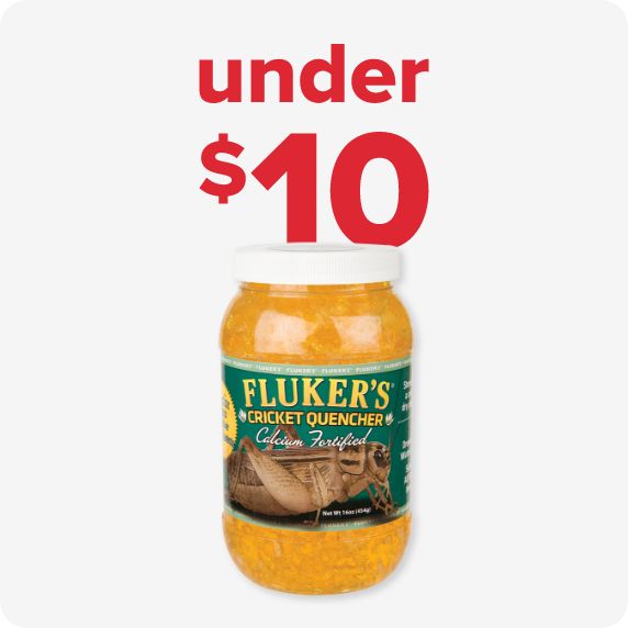 food under $10