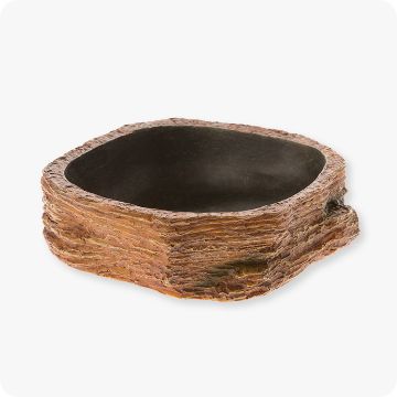 reptile food bowl