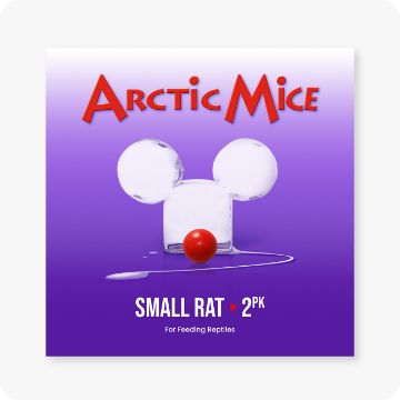 frozen mice - reptile food