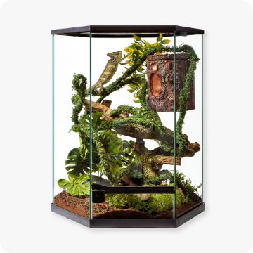 Terrariums