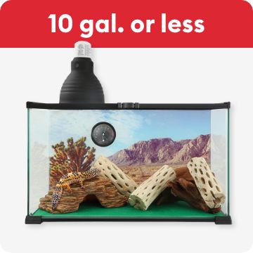 Aquarium, 10 gal. or less text