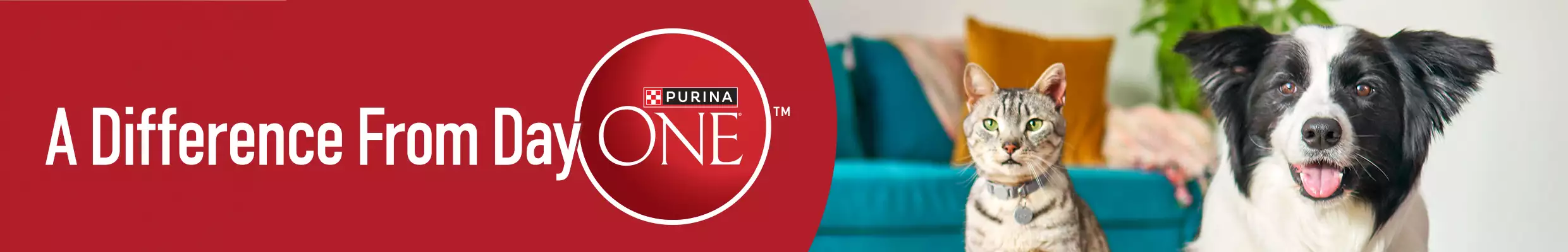 A difference from day one, Purina ONE