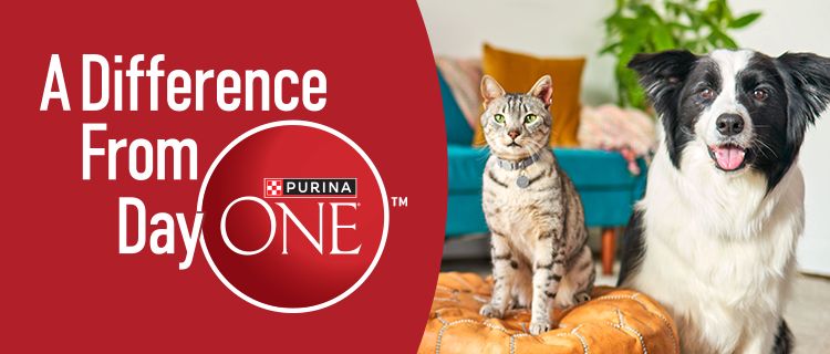 Purina ONE® Pet Food | PetSmart