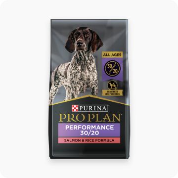 Banixx best sale at petsmart