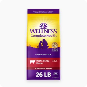 Wellness dog food bag