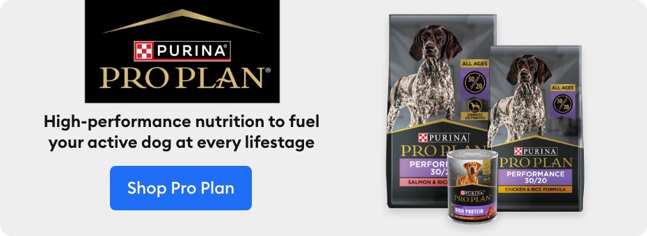 Pro plan sport outlet grain free