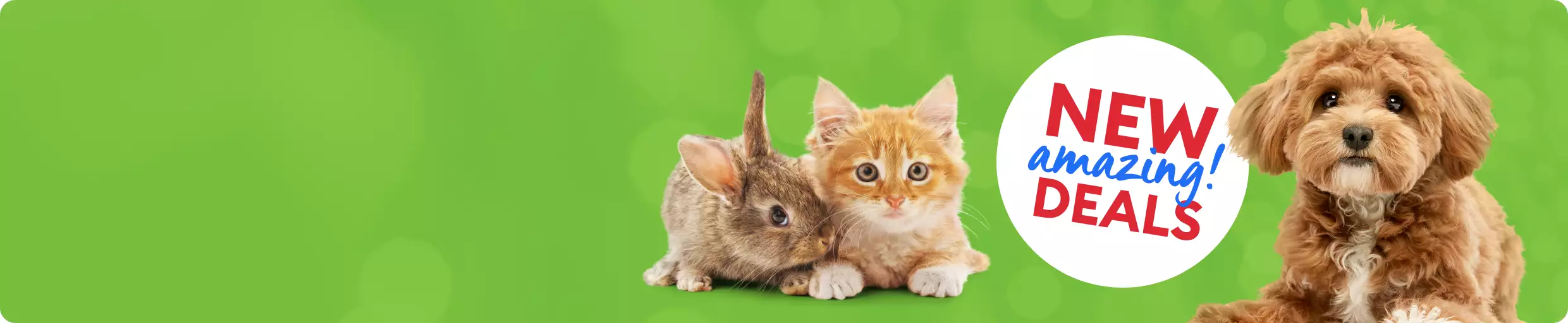 rabbit, cat and dog