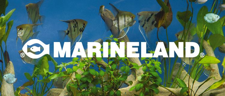 Image of fish swimming through plants with Marineland logo. 
