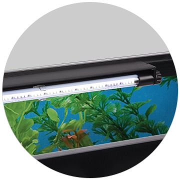 Image of aquarium light