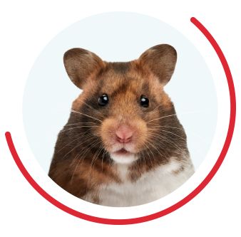 hamster in red circle