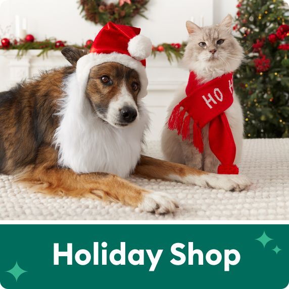 Holiday Shop text with green sparkles, a dog wearing a Santa beard & hat and a cat wearing a red scarf