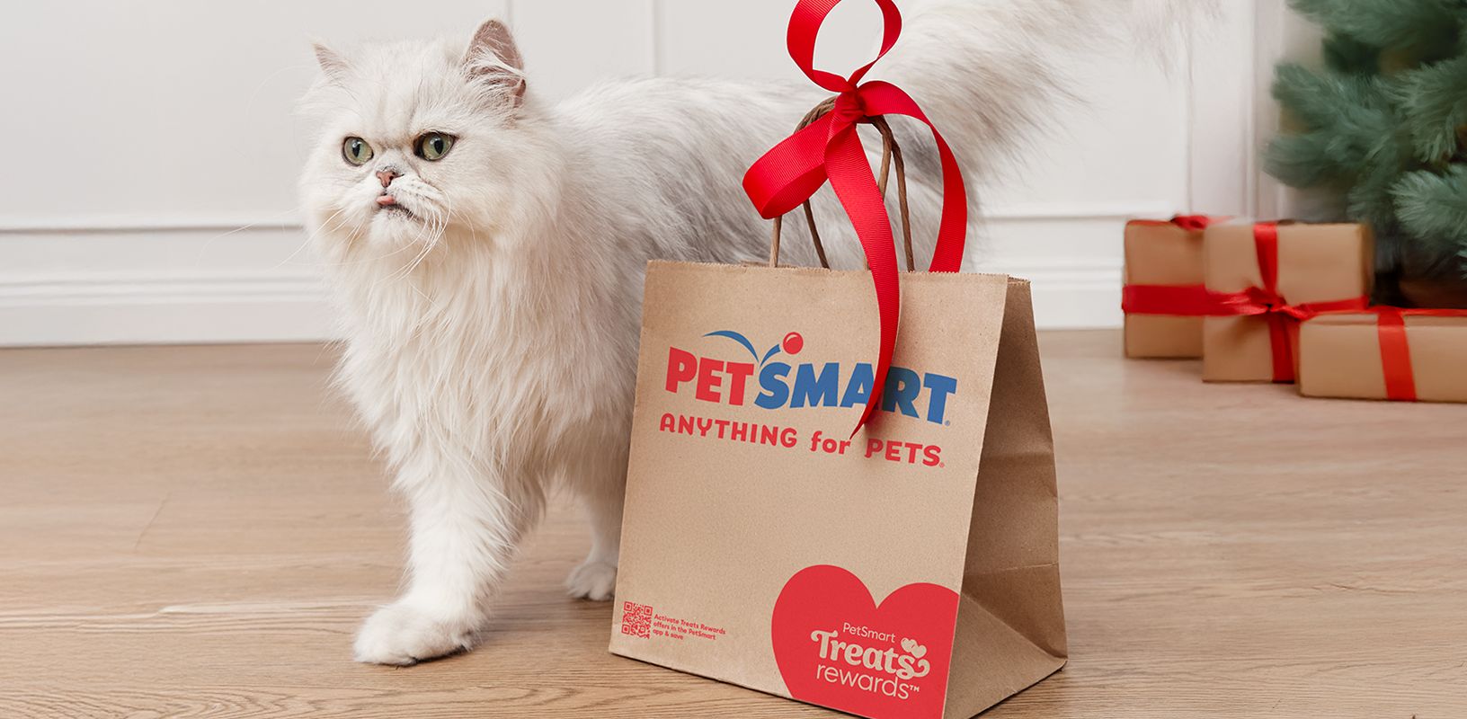 White cat standing next to a PetSmart shopping bag with a red ribbon