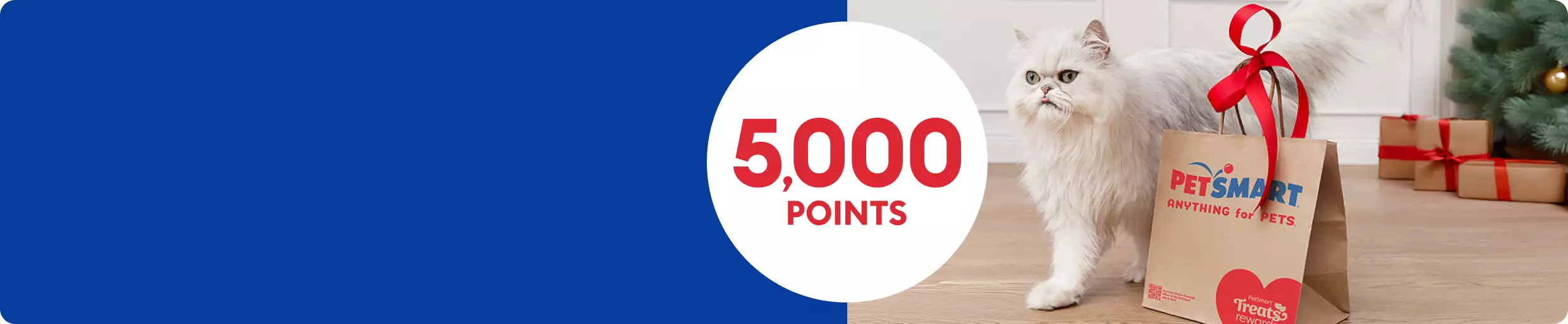 5,000 points callout and a white cat standing next to a PetSmart shopping bag with a red ribbon