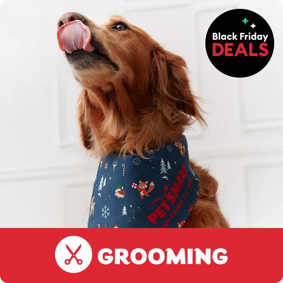 Black Friday Deals callout Grooming logo & a dog wearing a navy holiday bandana