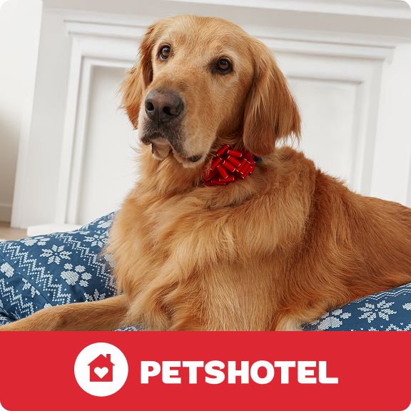 PetsHotel logo & a dog laying on a winter print bed