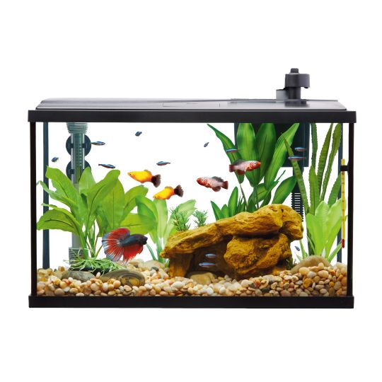 Aquarium