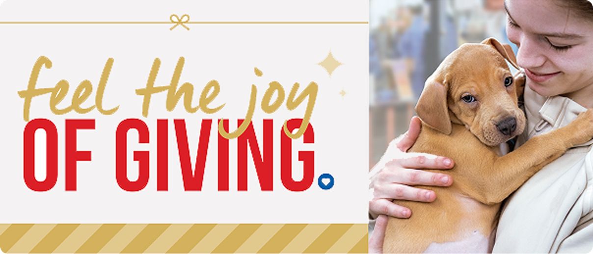 Feel the joy of giving message & a girl holding a dog