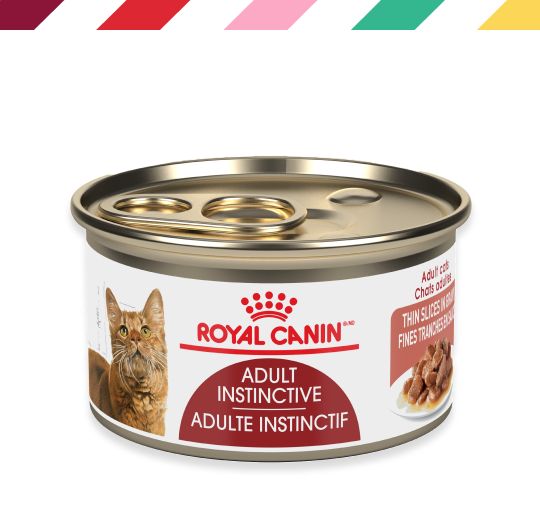 Can of Royal Canin cat food