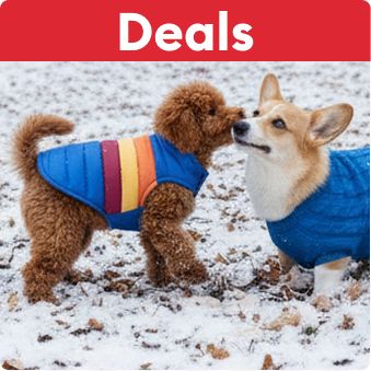 Deals text and two dogs wearing winter jackets playing in the snow