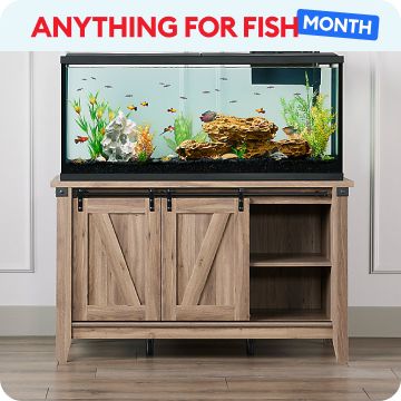 Anything for Fish Month message & Top Fin Aquarium Stand