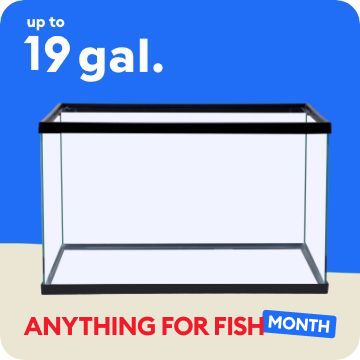 Anything for Fish Month message, up to 19 gal. callout & an open-glass tank