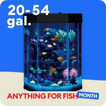 Anything for Fish Month message, 20-54 gal. callout & a tank filled with fish
