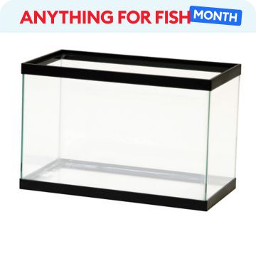 Anything for Fish Month message & an open-glass aquarium