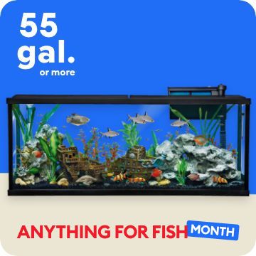 Anything for Fish Month message, 55 gal. or more callout & a large tank filled with fish