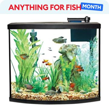 Anything for Fish Month message & a starter kit