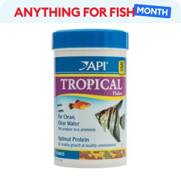 Anything for Fish Month message & API tropical fish food