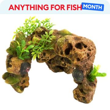 Anything for Fish Month message & Top Fin Stone Arch Shell Aquarium Ornament