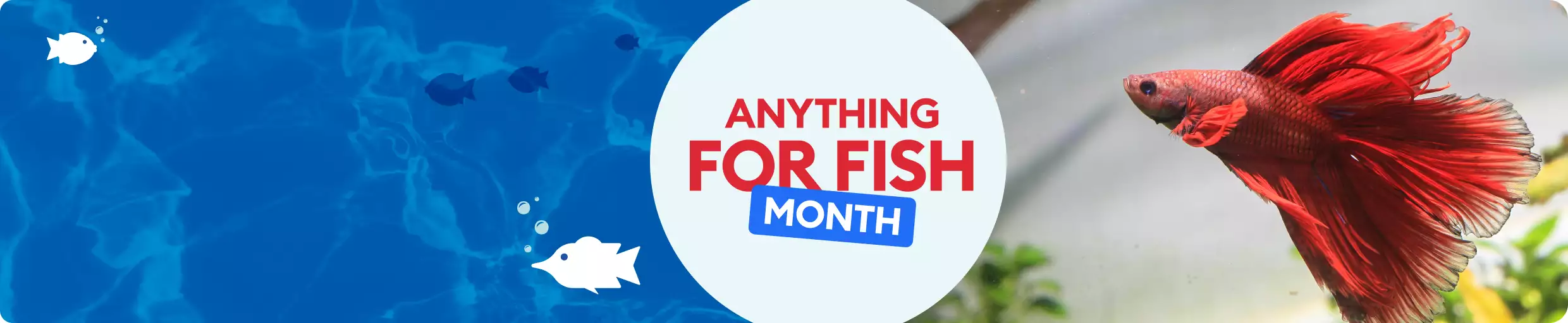 Anything for Fish Month promotional banner featuring a red betta fish swimming