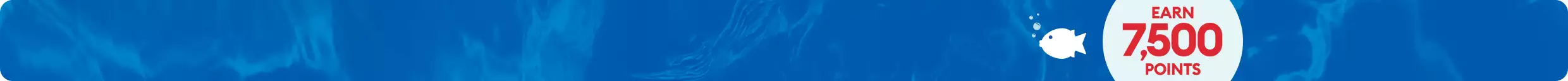 Blue background with fish loyalty offer