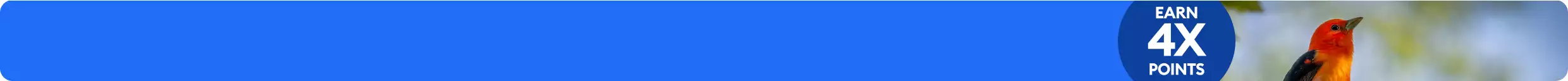 Earn 4X points callout & a colorful bird