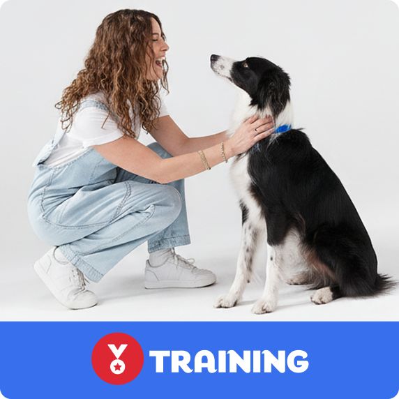 Woman kneeling to pet a black & white dog against a white background and a training logo