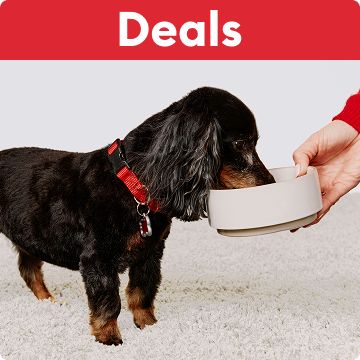 Dog eating food under a red header that says deals