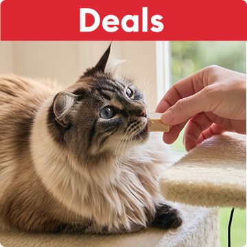 Pet parent feeding a cat a treat under a red header that says deals