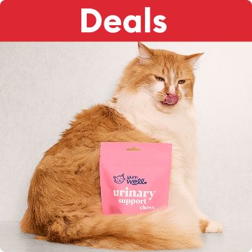 Cat sitting next to a bag of supplements under a red header that says deals