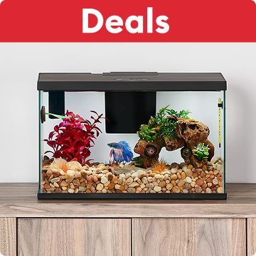 Aquarium on top of a stand under a red header that says deals