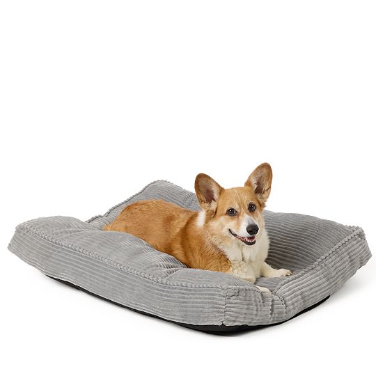 Dog laying on a gray bed