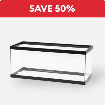 Save 50% and an open-glass aquarium