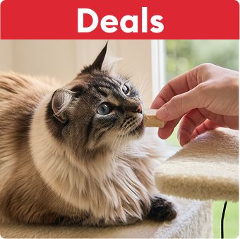 Deals callout & a pet parent feeding a treat to a cat