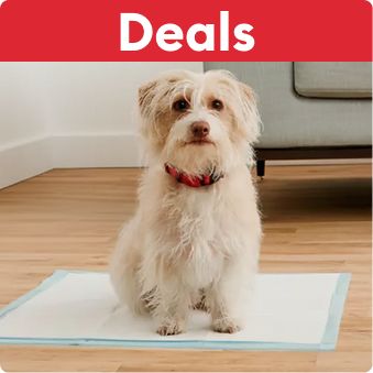 Deals callout & a dog sitting on a disposable potty pad