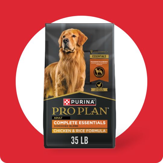 Bag of Purina Pro Plan dog food
