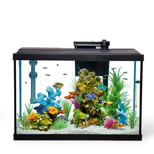 Aquarium