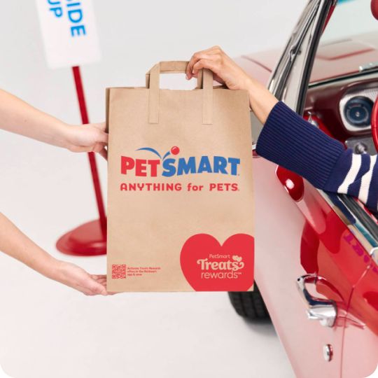 PetSmart associate handing a shopping bag to a customer in their car