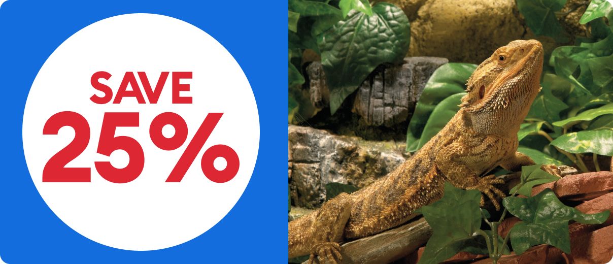 A bearded dragon & a save 25% callout