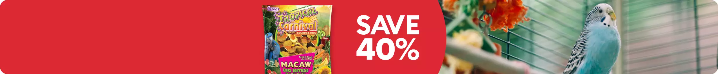 SAVE 40% text, parakeet, bird food product
